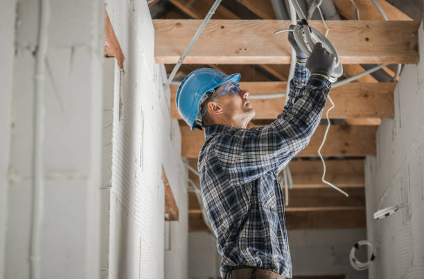 Best Electrical System Inspection  in Palmhurst, TX