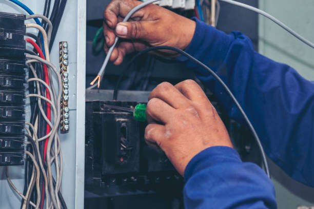 Best Electric Panel Repair  in Palmhurst, TX