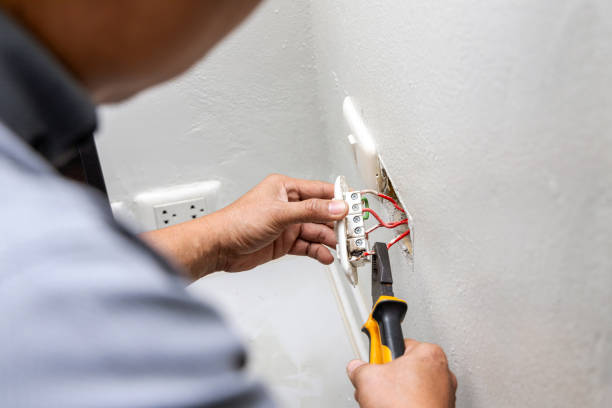 Best Licensed Electrician  in Palmhurst, TX